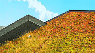 Ausschnitte eines mit Moos begrünten Spitzdaches 