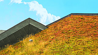 Ausschnitte eines mit Moos begrünten Spitzdaches 