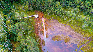 Luftaufnahme eines Waldgebiets mit einem Steg, der zu einer Plattform über einem teilweise mit Wasser bedeckten Moor führt