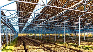 Solarzellen stehen auf einem Feld.