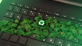 Eine Computer-Tastatur, auf der Blätter liegen, darauf ein Zeichen für Recycling