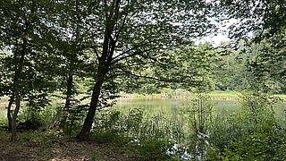 Anglerteich in Meusewitz