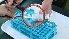 ein Reagenzglas in einer Halterung, davor ein Teststreifen und eine Vergleichskarte