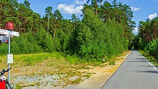 Wegweiser an einem asphaltierten Fahrradweg, der durch einen Wald führt