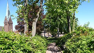 ein Weg führt an Sträuchern vorbei, weiter hinten stehen größere Bäume und eine Kirche