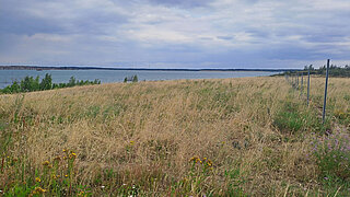 Projektgebiet Lausitzer Seenland