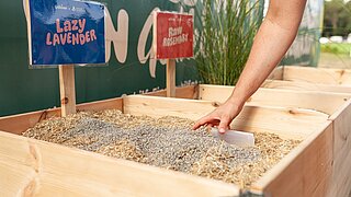 Mehrere Holzkisten mit verschiedenen Streusorten für Trenntoiletten stehen nebeneinander.