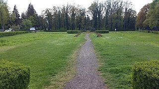 Eine Wiese mit einigen Hecken, durch die ein Weg führt, im Hintergrund einige Bäume