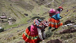 Zwei indigene Frauen in traditioneller Kleidung steigen einen Berg hinauf