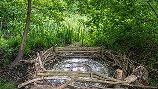 Ein Schacht mit Gullideckel am Ende einer unterirdischen Wasserleitung in einem Moorgebiet. Aus der Leitung wird Wasser nach oben gedrückt und fließt von dort langsam in die Moorfläche.