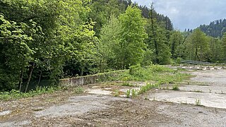 eine mit Betonplatten belegte und so versiegelte Fläche, daneben stehen Bäume