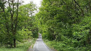 Ein asphaltierter Radweg in ländlicher Umgebung