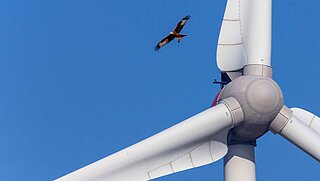 Flügel einer Windkraftanlage vor blauem Himmel, in der Nähe fliegt ein Vogel 
