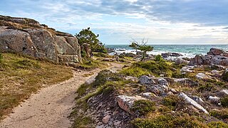 Ostseeküste mit Schotterweg, Felsen und einzelnen Bäumen, im Hintergrund das Meer und wolkenbehangener Himmel