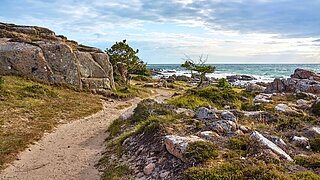 Ostseeküste mit Schotterweg, Felsen und einzelnen Bäumen, im Hintergrund das Meer und wolkenbehangener Himmel