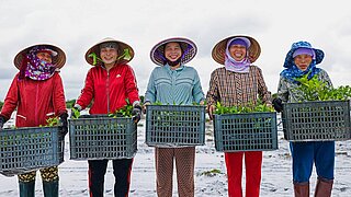 5 Personen mit asiatischen Strohhüten halten Kisten mit Pflanzen in den Händen und schauen in die Kamera. 