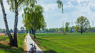 Ein Fahrradweg im Grünen