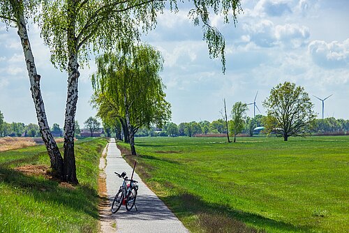 Ein Fahrradweg im Grünen