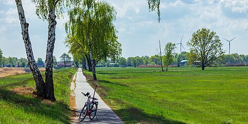 Ein Fahrradweg im Grünen