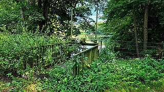 Eine bewachsene Brücke an einem Gewässer, daneben Bäume