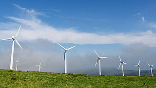 Viele Windräder stehen auf einer Fläche vor wolkigem Himmel 