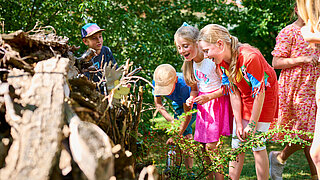 Kinder stehen im Wald und betrachten neugierig einen umgestürzten Baumstamm mit Ästen und Moos.