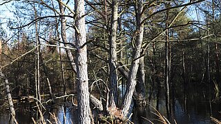 LIFE-NAT-Vernetzungstreffen 2024