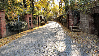 Historische Kellergasse in Schlieben
