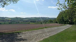 Ein Weg führt an einem Feld vorbei, auf der anderen Seite befinden sich eine Grünfläche und einige Bäume