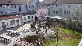 Auf einem Innenhof werden mithilfe eines Baggers Bäume gepflanzt, man sieht ein Loch in der Erde, daneben Tische und Stühle
