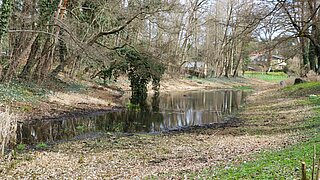Trockener Irissee in Michendorf