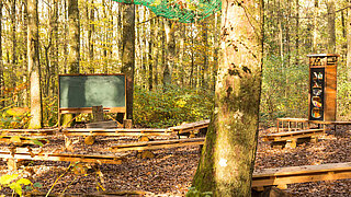 eine Schultafel, ein Bücherregal und Bänke stehen in einem Wald