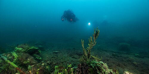 Taucher mit Tauchlampe schwimmt über felsigem Meeresboden