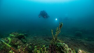 Taucher mit Tauchlampe schwimmt über felsigem Meeresboden