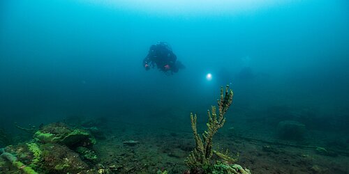 Taucher mit Tauchlampe schwimmt über felsigem Meeresboden