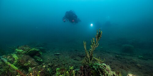Taucher mit Tauchlampe schwimmt über felsigem Meeresboden