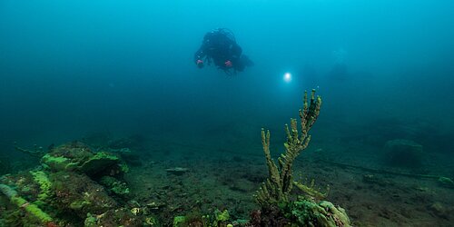 Taucher mit Tauchlampe schwimmt über felsigem Meeresboden
