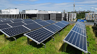 Solaranlagen auf begrüntem Flachdach vor modernen Bürogebäuden und Fernsehturm im Hintergrund