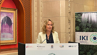 Bundesumweltministerin Steffi Lemke an einem Redepult.
