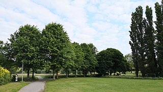 Ein asphaltierter Weg an einer Wiese vorbei, im Hintergrund Bäume