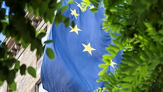 EU-Flagge hinter Baum
