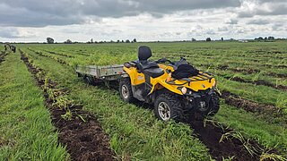 Ein landwirtschaftliches Fahrzeug mit Anhänger steht auf einer Moorfläche