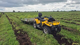 Ein landwirtschaftliches Fahrzeug mit Anhänger steht auf einer Moorfläche