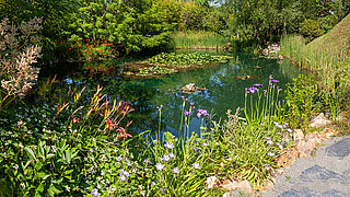 Ein Teich mit naturnaher Uferbepflanzung