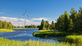 Wald, Wasser, Schilf und Windkraftanlage in Europa