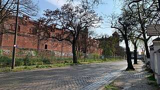 Eine gepflasterte Straße mit Bäumen, rechts und links Gebäude