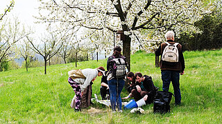 Menschen auf einer Obstbaumwiese