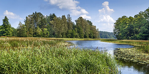 mitteleuropäische Wald- und Moorlandschaft