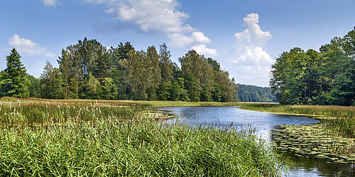mitteleuropäische Wald- und Moorlandschaft