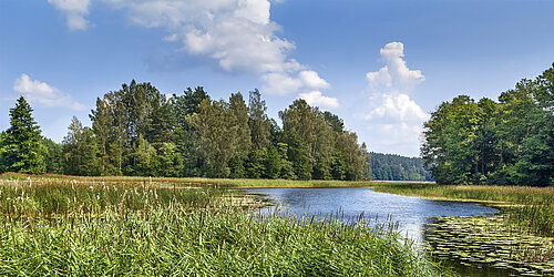 mitteleuropäische Wald- und Moorlandschaft